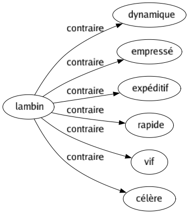 Contraire de Lambin : Dynamique Empressé Expéditif Rapide Vif Célère 