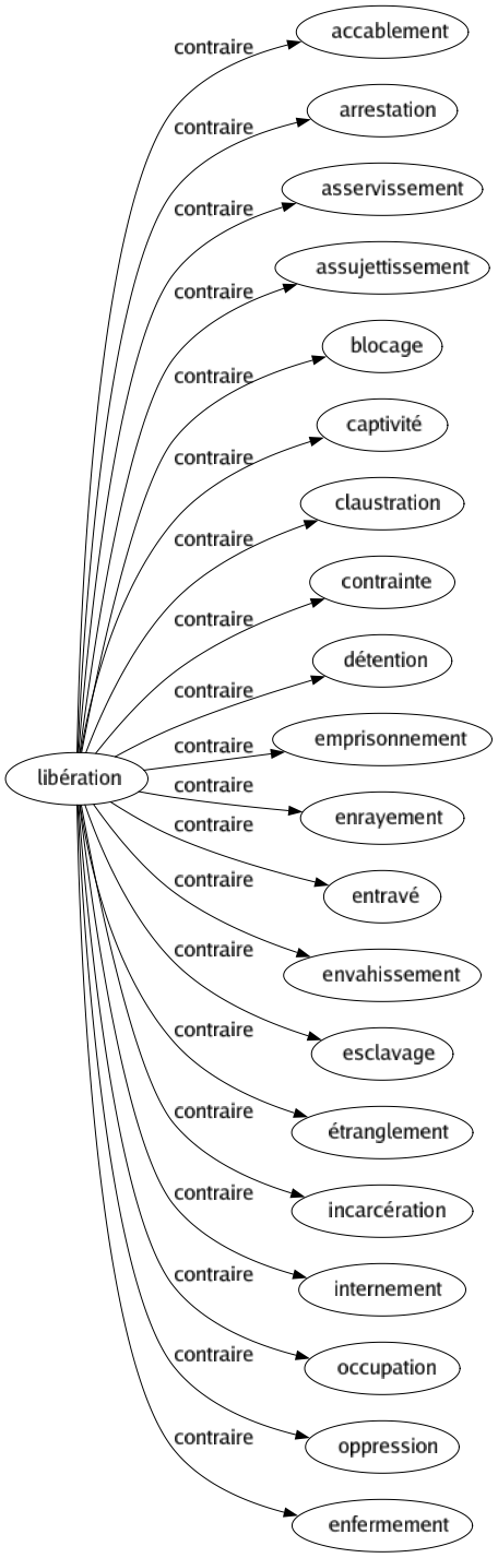 Contraire de Libération : Accablement Arrestation Asservissement Assujettissement Blocage Captivité Claustration Contrainte Détention Emprisonnement Enrayement Entravé Envahissement Esclavage Étranglement Incarcération Internement Occupation Oppression Enfermement 