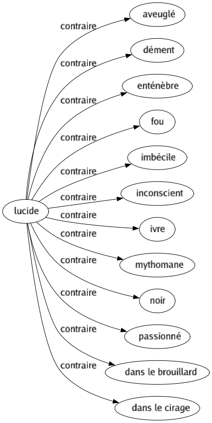 Contraire de Lucide : Aveuglé Dément Enténèbre Fou Imbécile Inconscient Ivre Mythomane Noir Passionné Dans le brouillard Dans le cirage 