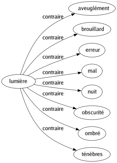 Contraire de Lumière : Aveuglément Brouillard Erreur Mal Nuit Obscurité Ombré Ténèbres 