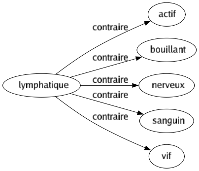 Contraire de Lymphatique : Actif Bouillant Nerveux Sanguin Vif 