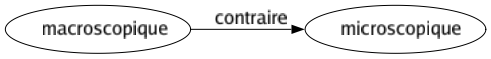 Contraire de Macroscopique : Microscopique 