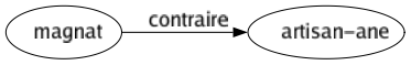 Contraire de Magnat : Artisan-ane 