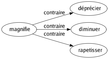 Contraire de Magnifie : Déprécier Diminuer Rapetisser 