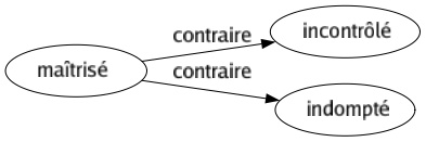 Contraire de Maîtrisé : Incontrôlé Indompté 