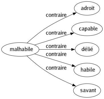 Contraire de Malhabile : Adroit Capable Délié Habile Savant 