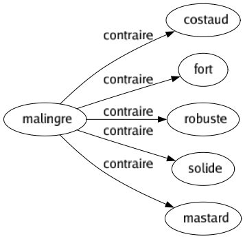 Contraire de Malingre : Costaud Fort Robuste Solide Mastard 