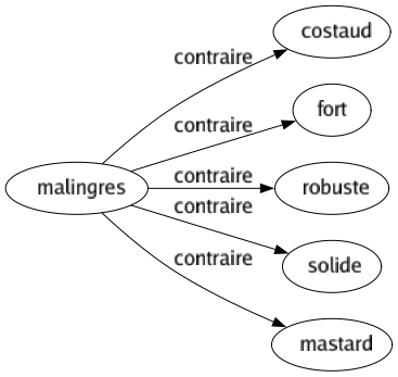 Contraire de Malingres : Costaud Fort Robuste Solide Mastard 