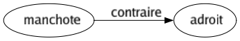 Contraire de Manchote : Adroit 