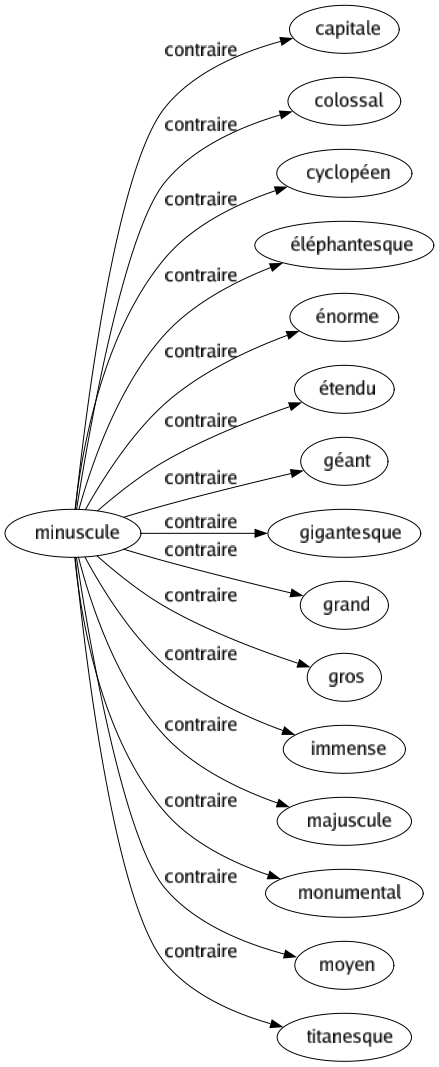 Contraire de Minuscule : Capitale Colossal Cyclopéen Éléphantesque Énorme Étendu Géant Gigantesque Grand Gros Immense Majuscule Monumental Moyen Titanesque 