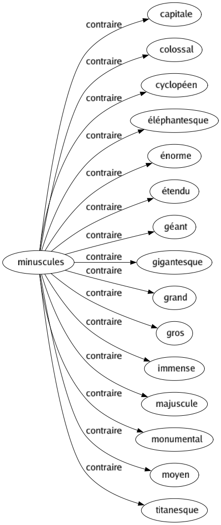 Contraire de Minuscules : Capitale Colossal Cyclopéen Éléphantesque Énorme Étendu Géant Gigantesque Grand Gros Immense Majuscule Monumental Moyen Titanesque 