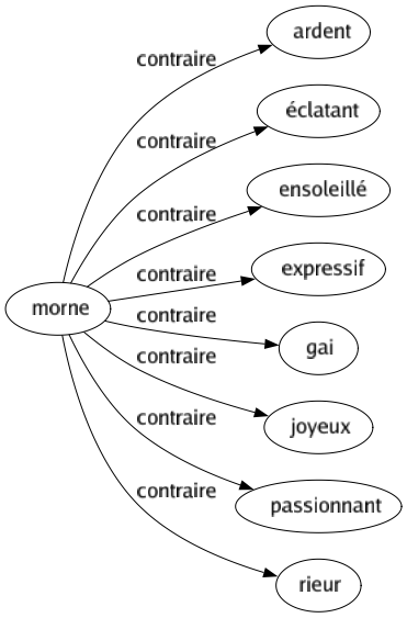 Contraire de Morne : Ardent Éclatant Ensoleillé Expressif Gai Joyeux Passionnant Rieur 