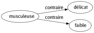 Contraire de Musculeuse : Délicat Faible 