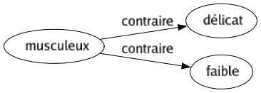 Contraire de Musculeux : Délicat Faible 