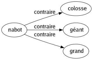 Contraire de Nabot : Colosse Géant Grand 