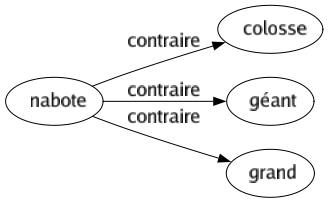 Contraire de Nabote : Colosse Géant Grand 