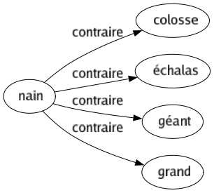 Contraire de Nain : Colosse Échalas Géant Grand 