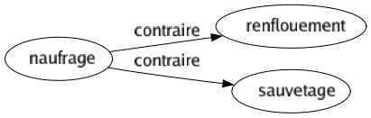 Contraire de Naufrage : Renflouement Sauvetage 