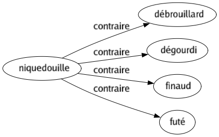 Contraire de Niquedouille : Débrouillard Dégourdi Finaud Futé 