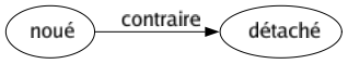 Contraire de Noué : Détaché 
