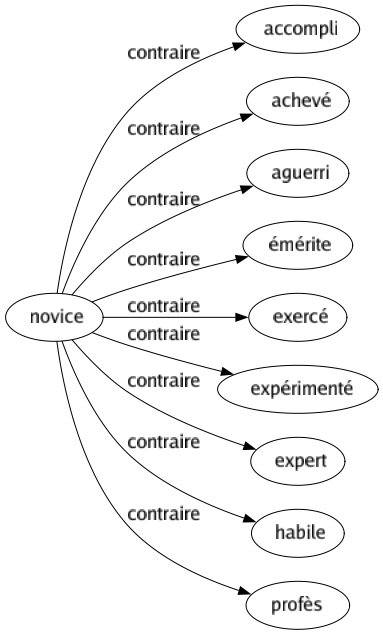 Contraire de Novice : Accompli Achevé Aguerri Émérite Exercé Expérimenté Expert Habile Profès 