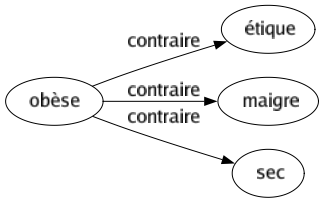 Contraire de Obèse : Étique Maigre Sec 