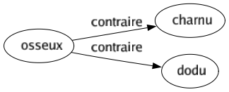 Contraire de Osseux : Charnu Dodu 