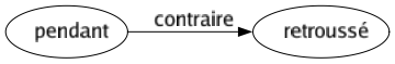 Contraire de Pendant : Retroussé 