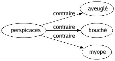 Contraire de Perspicaces : Aveuglé Bouché Myope 