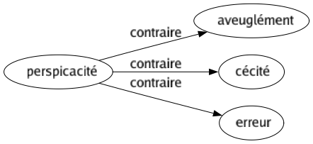 Contraire de Perspicacité : Aveuglément Cécité Erreur 