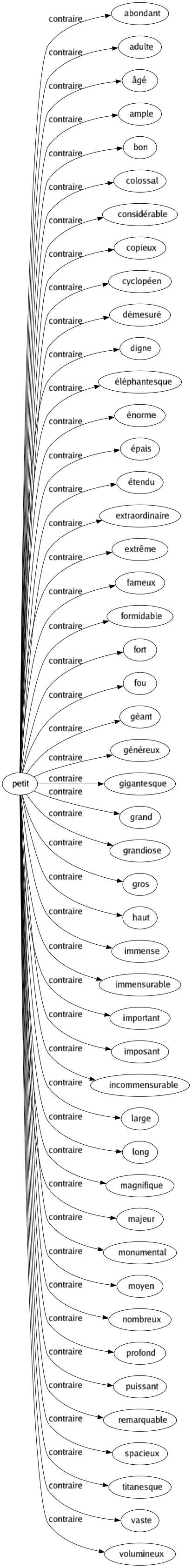 Contraire de Petit : Abondant Adulte Âgé Ample Bon Colossal Considérable Copieux Cyclopéen Démesuré Digne Éléphantesque Énorme Épais Étendu Extraordinaire Extrême Fameux Formidable Fort Fou Géant Généreux Gigantesque Grand Grandiose Gros Haut Immense Immensurable Important Imposant Incommensurable Large Long Magnifique Majeur Monumental Moyen Nombreux Profond Puissant Remarquable Spacieux Titanesque Vaste Volumineux 