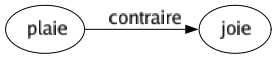 Contraire de Plaie : Joie 
