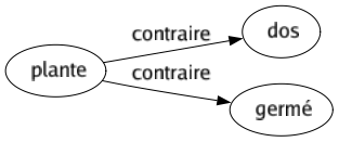 Contraire de Plante : Dos Germé 