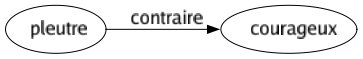 Contraire de Pleutre : Courageux 