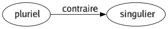 Contraire de Pluriel : Singulier 