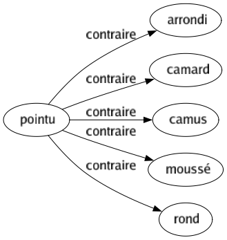 Contraire de Pointu : Arrondi Camard Camus Moussé Rond 