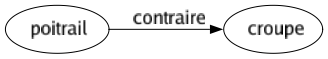 Contraire de Poitrail : Croupe 