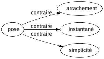 Contraire de Pose : Arrachement Instantané Simplicité 