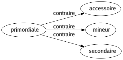 Contraire de Primordiale : Accessoire Mineur Secondaire 