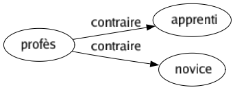 Contraire de Profès : Apprenti Novice 