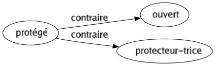 Contraire de Protégé : Ouvert Protecteur-trice 