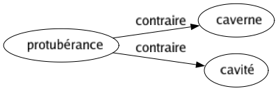 Contraire de Protubérance : Caverne Cavité 