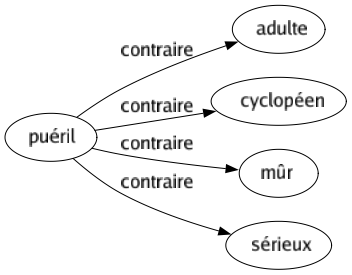 Contraire de Puéril : Adulte Cyclopéen Mûr Sérieux 