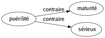 Contraire de Puérilité : Maturité Sérieux 
