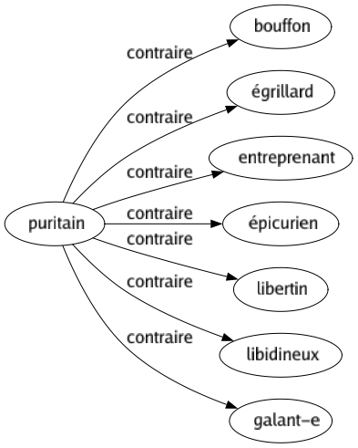 Contraire de Puritain : Bouffon Égrillard Entreprenant Épicurien Libertin Libidineux Galant-e 