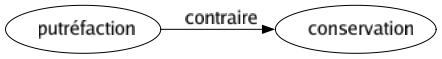 Contraire de Putréfaction : Conservation 