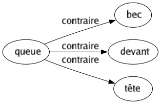 Contraire de Queue : Bec Devant Tête 