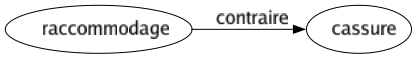 Contraire de Raccommodage : Cassure 