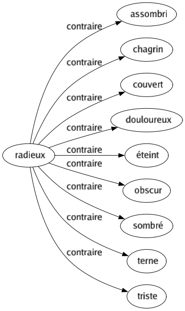 Contraire de Radieux : Assombri Chagrin Couvert Douloureux Éteint Obscur Sombré Terne Triste 