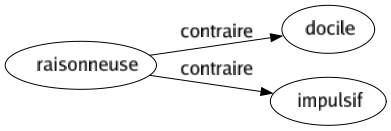 Contraire de Raisonneuse : Docile Impulsif 